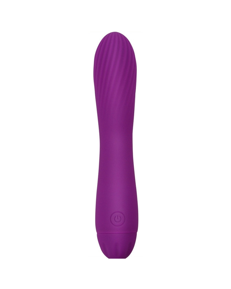 Vibro Torti 17 x 3.3cm Violet 