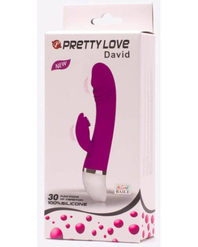 Vibro Rabbit David Pretty Love 20cm 