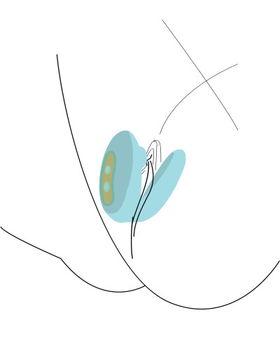 Stimulateur de clitoris ForePlay Vert 