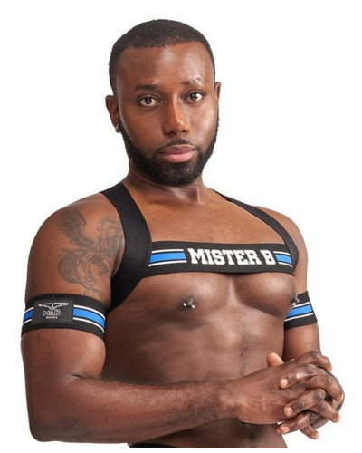 Harnais élastique X-Back Noir-Bleu 