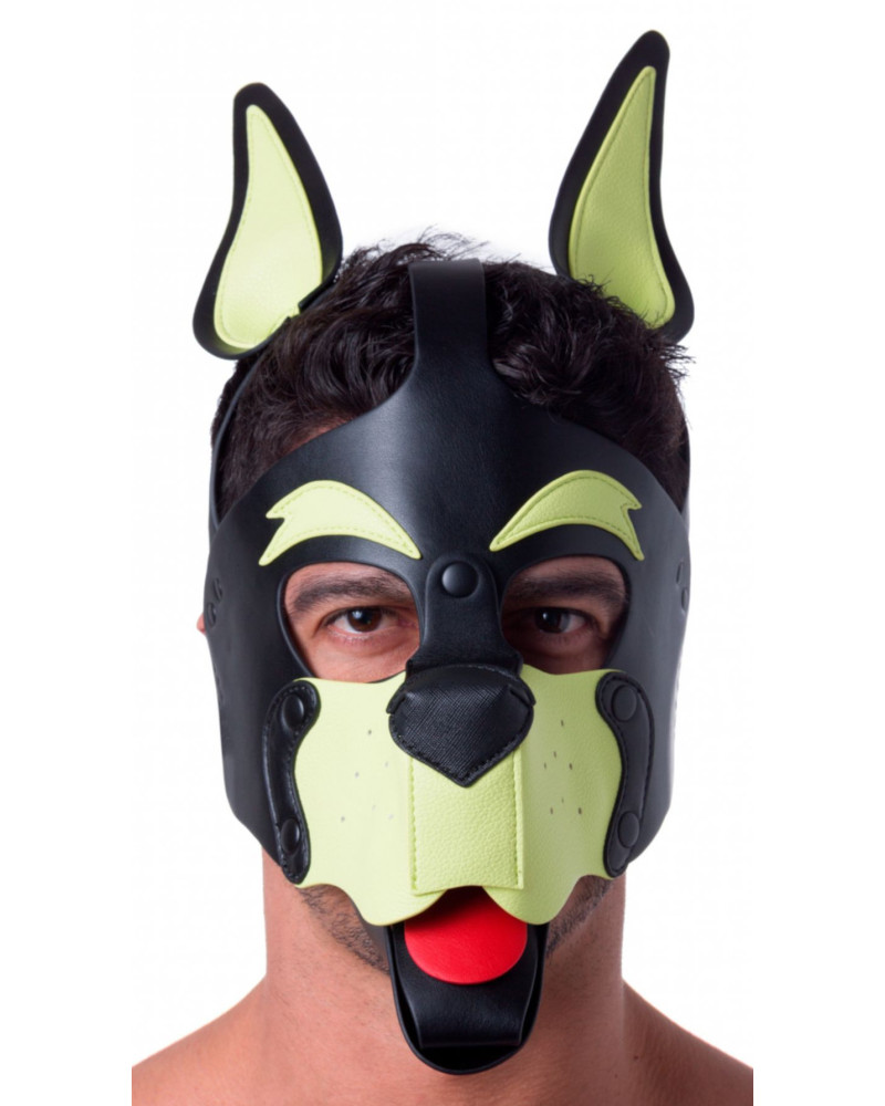 Masque Puppy 665 Jaune/Vert 