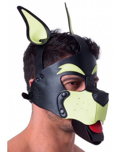 Masque Puppy 665 Jaune/Vert 