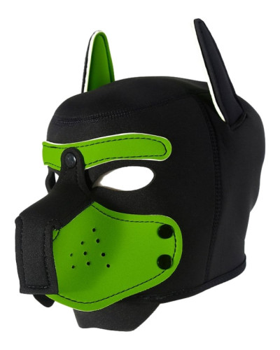 Cagoule Enjoy Puppy Noir-Vert 