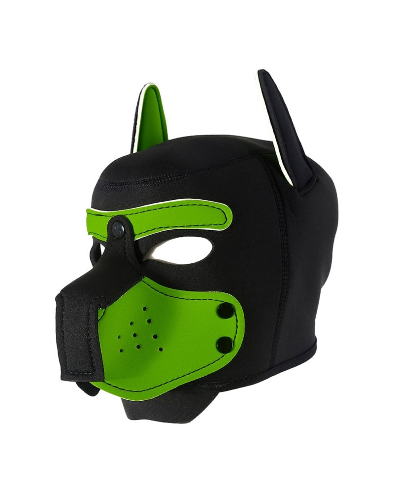Cagoule Enjoy Puppy Noir-Vert 