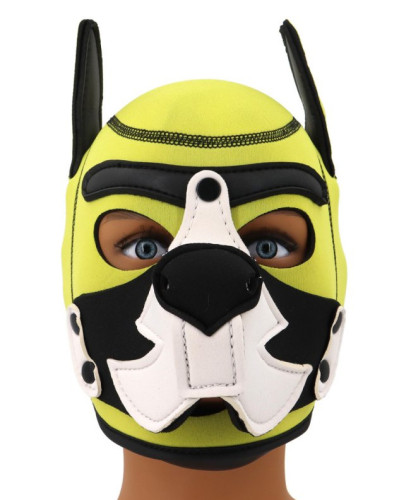 Cagoule Puppy Fox Néoprène Jaune-Blanc 