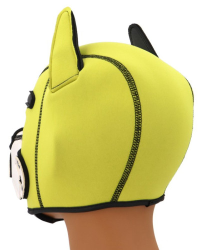 Cagoule Puppy Fox Néoprène Jaune-Blanc 