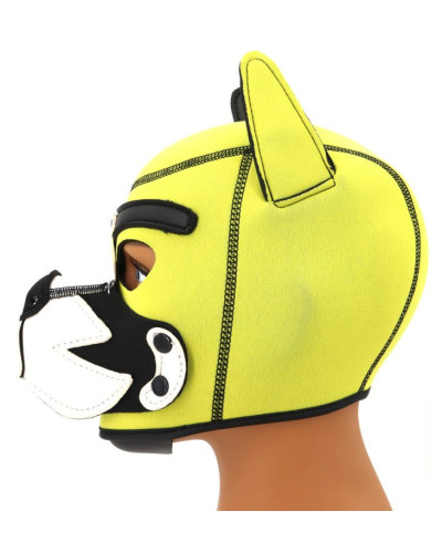 Cagoule Puppy Fox Néoprène Jaune-Blanc 