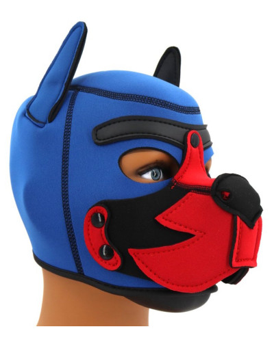 Cagoule Puppy Fox Néoprène Bleu-Rouge 
