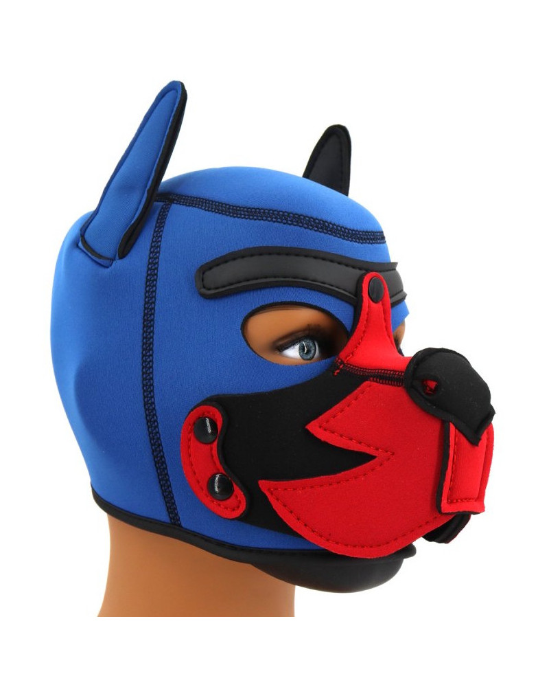 Cagoule Puppy Fox Néoprène Bleu-Rouge 