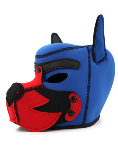 Cagoule Puppy Fox Néoprène Bleu-Rouge 