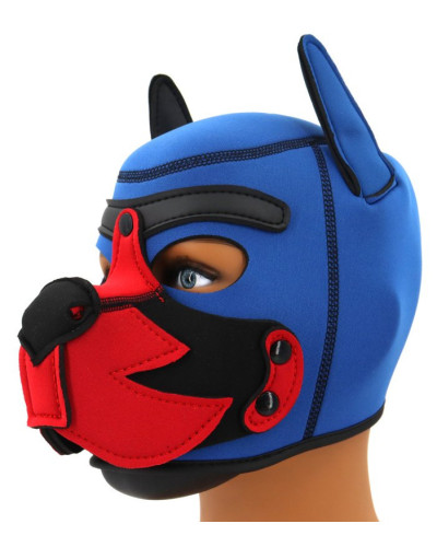 Cagoule Puppy Fox Néoprène Bleu-Rouge 