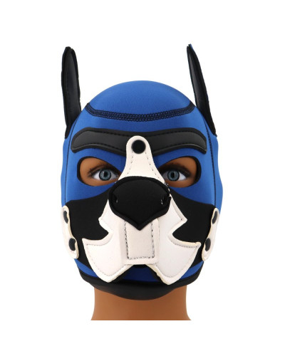 Cagoule Puppy Fox Néoprène Bleu-Blanc 