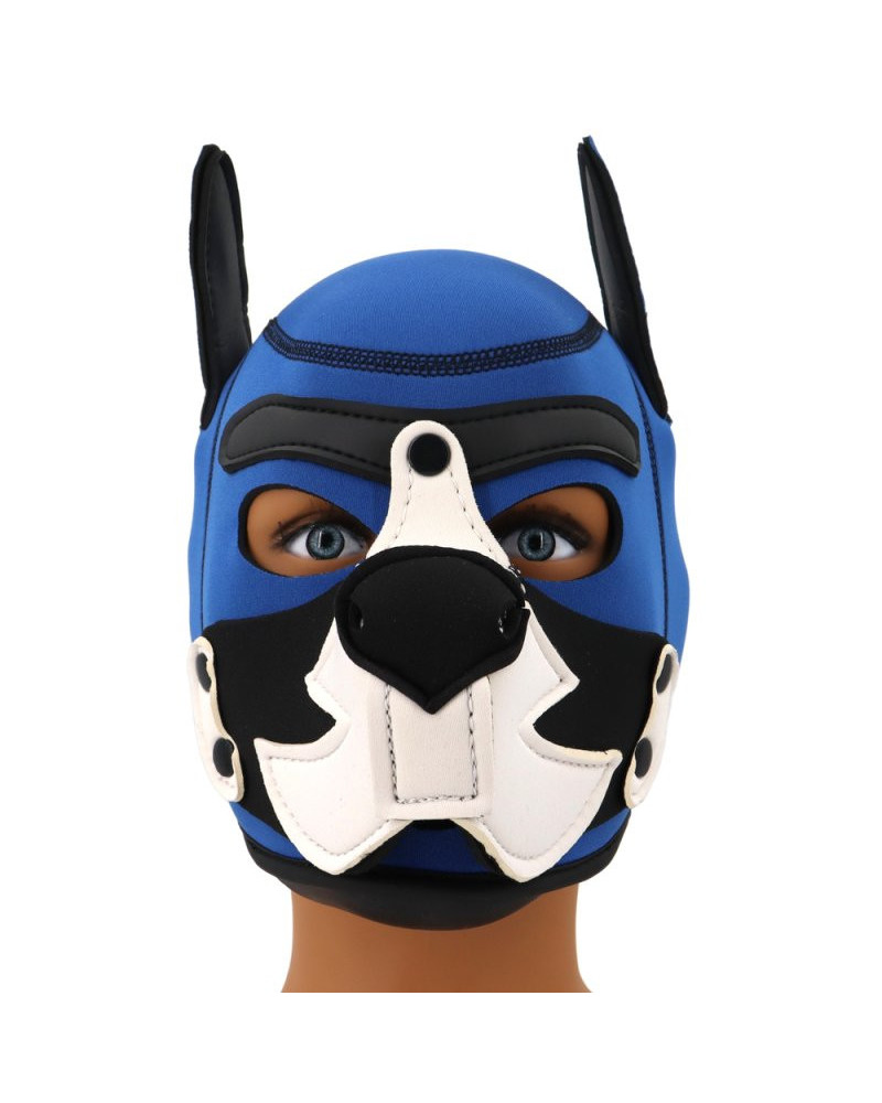 Cagoule Puppy Fox Néoprène Bleu-Blanc 