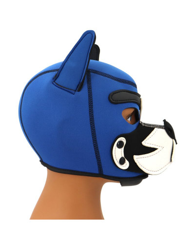 Cagoule Puppy Fox Néoprène Bleu-Blanc 