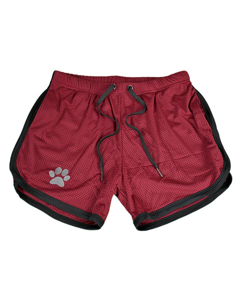 Short Paw Bordeaux-Noir  Couleur principale:Noir