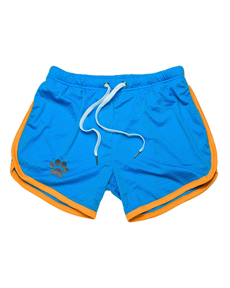 Short Paw Bleu-Jaune  Couleur principale:Bleu Couleur secondaire:Jaune