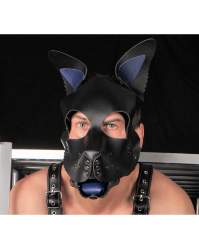 PUPPY SET OREILLES ET LANGUE EN CUIR BLEU 