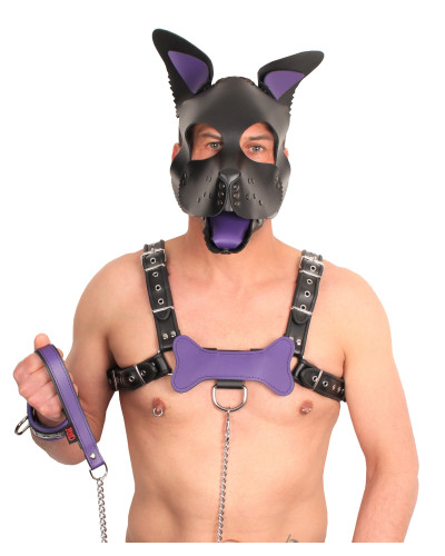 PUPPY SET OREILLES ET LANGUE EN CUIR VIOLET 