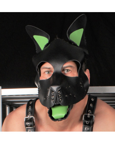 PUPPY SET OREILLES ET LANGUE EN CUIR VERT 