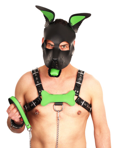 PUPPY SET OREILLES ET LANGUE EN CUIR VERT 
