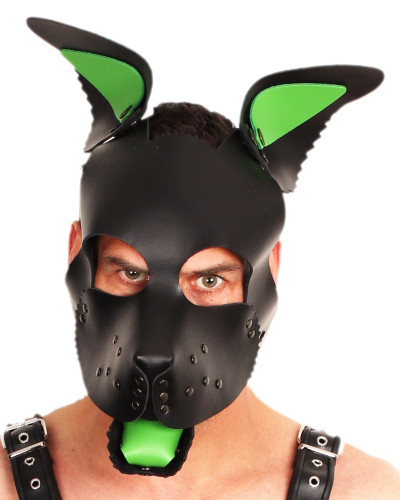 PUPPY SET OREILLES ET LANGUE EN CUIR VERT 