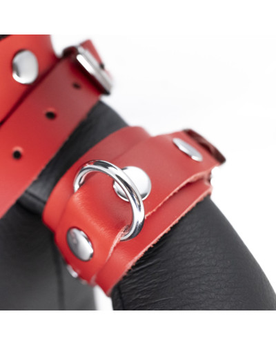 Ours en cuir Bendy The Bdsm Teddy Bear Rouge 