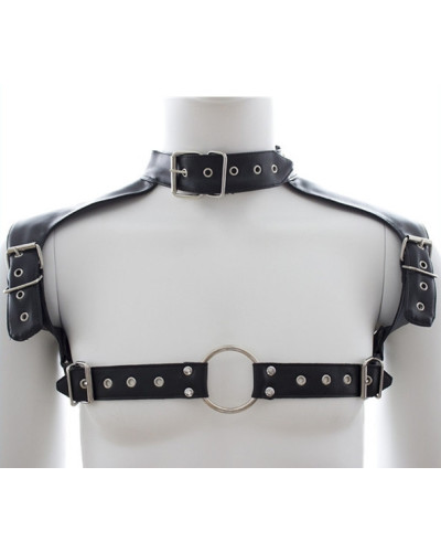 Harnais et Collier Optor Noir 