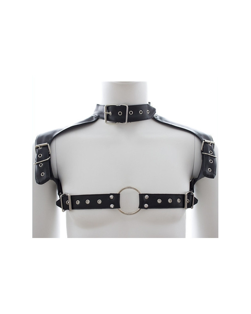 Harnais et Collier Optor Noir 