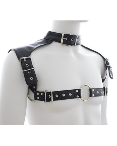 Harnais et Collier Optor Noir 