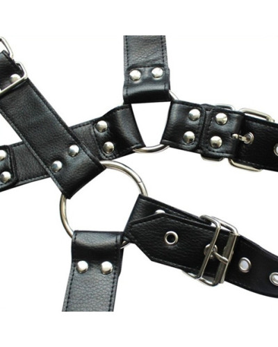 Harnais et Collier Optor Noir 