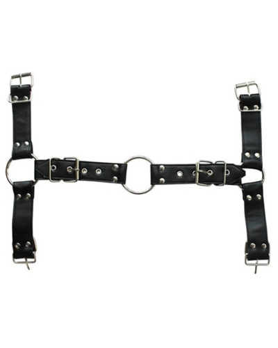 Harnais et Collier Optor Noir 