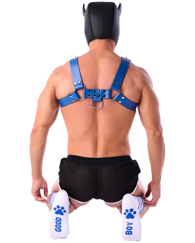 Chaussettes Good Boy Blanc-Bleu 