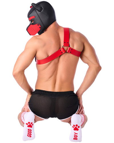 Chaussettes Good Boy Blanc-Rouge 