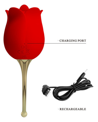 Stimulateur Anulingus Rose Lover 