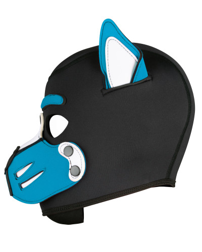 Cagoule Husky Bleu turquoise 