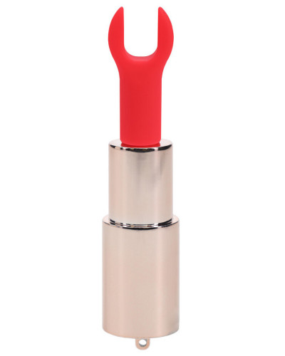 Mini Vibro + 4 embouts Candy Rose 