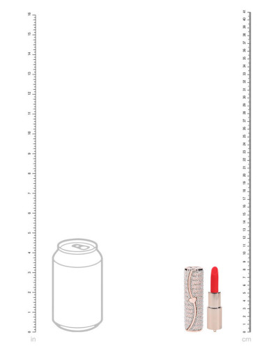 Mini Vibro + 4 embouts Candy Rose 