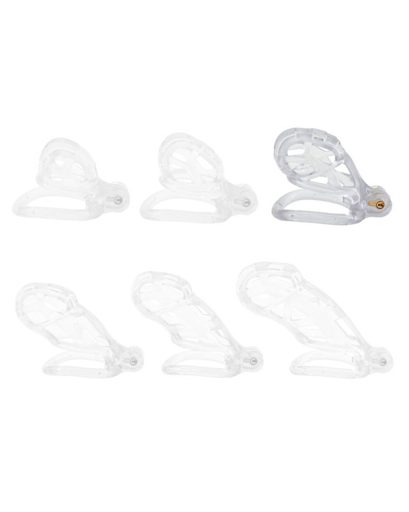 Cage Robat Transparente L 6.5 x 3.7cm 