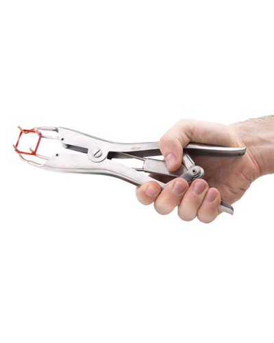 Pince pour Élastiques de Torture Elastratus 
