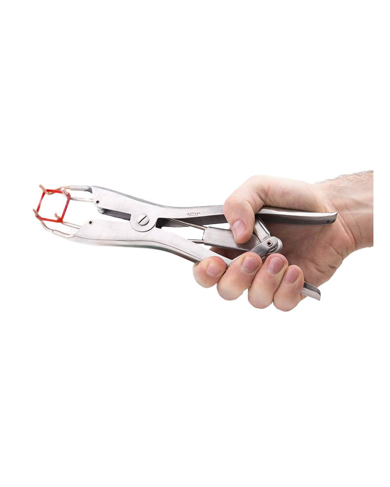 Pince pour Élastiques de Torture Elastratus 
