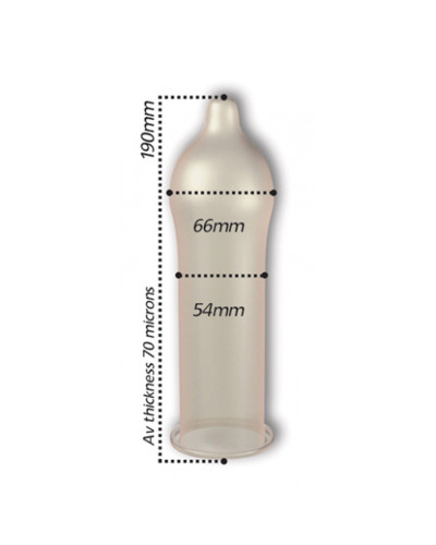 Préservatifs Regular 54mm x12 