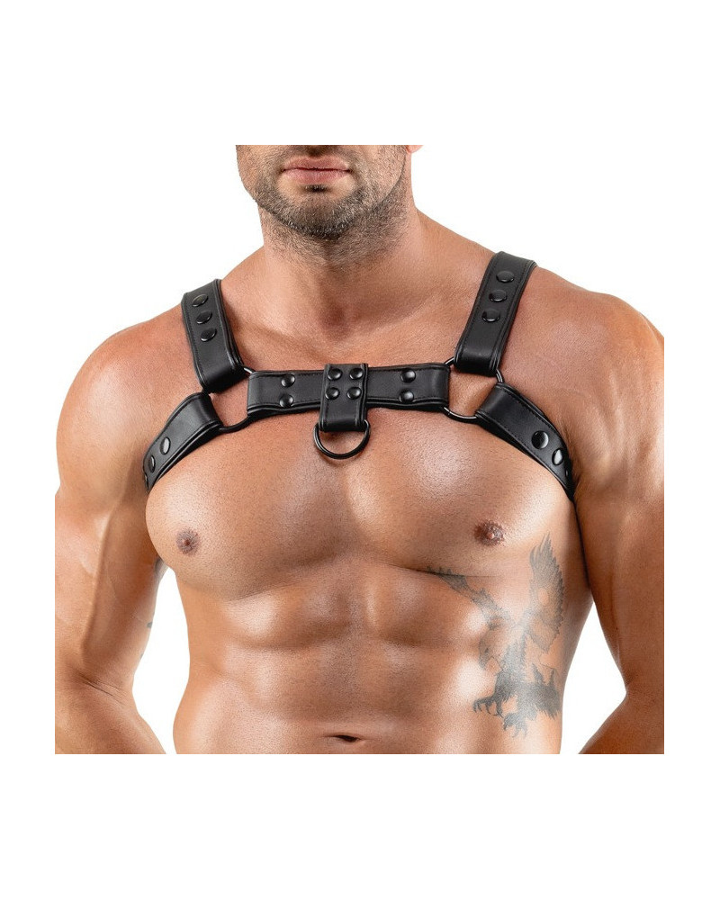 Harnais Chestty Noir 
