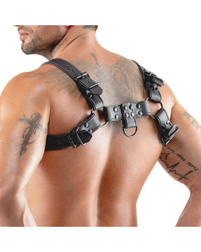 Harnais Chestty Noir 