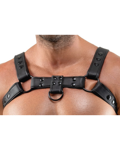 Harnais Chestty Noir 