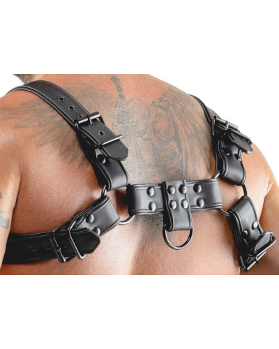 Harnais Chestty Noir 