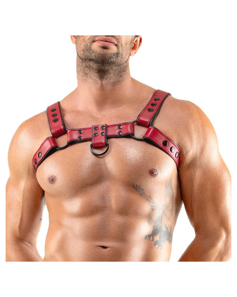 Harnais Chestty Rouge 