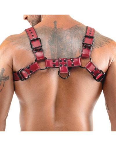 Harnais Chestty Rouge 