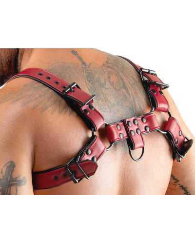 Harnais Chestty Rouge 