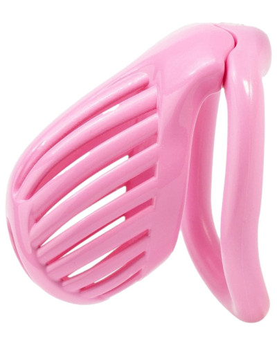 Cage Lineath 6 x 3.2 cm Rose 