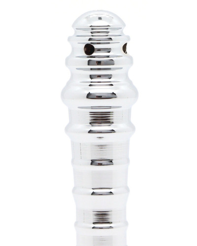 Embout de douche Stridenem 11 x 2.1 cm 